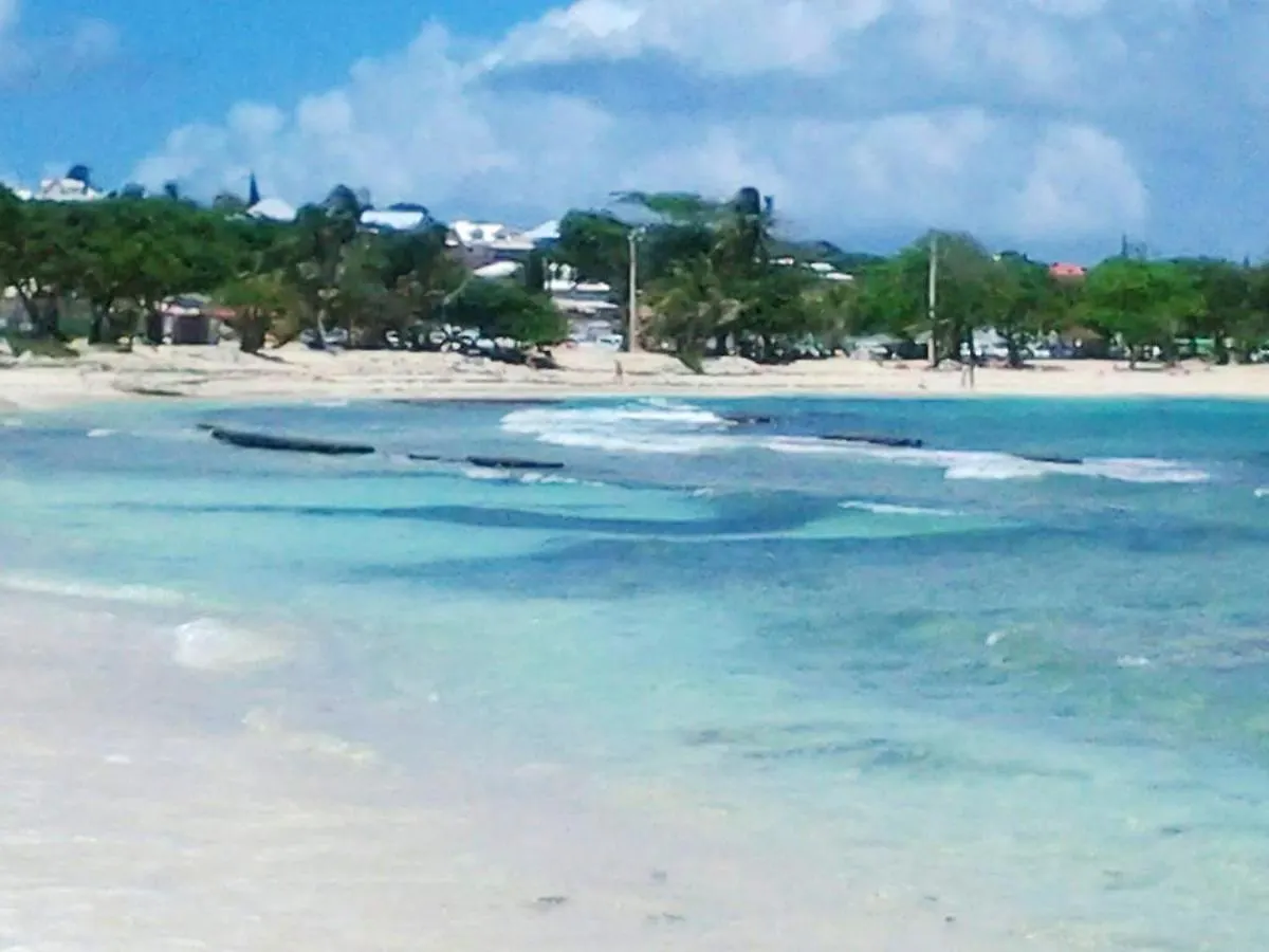 Maison Chaleureuse A Le Moule Avec Piscine Partagee Guadalupe